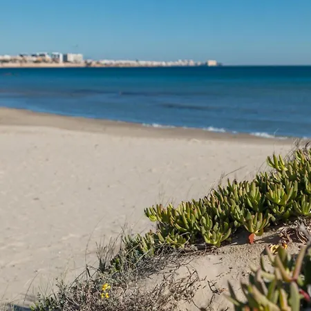 Appartamento Perla Ii Alicante